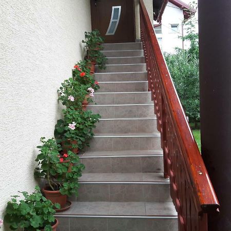 Apartman Petra & Tena Slunj Exterior photo